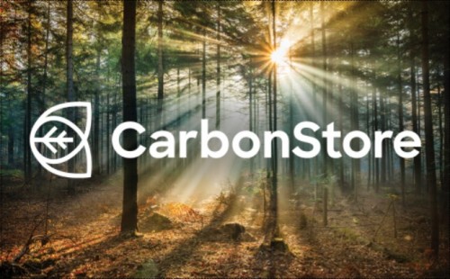 BSW launches CarbonStore – a new carbon trading and offsetting service