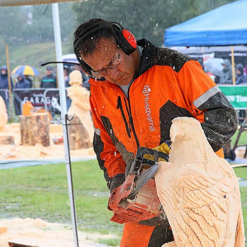 Tilhill Forestry’s Pete Bowsher finishes second at BSW-sponsored Carve Carrbridge